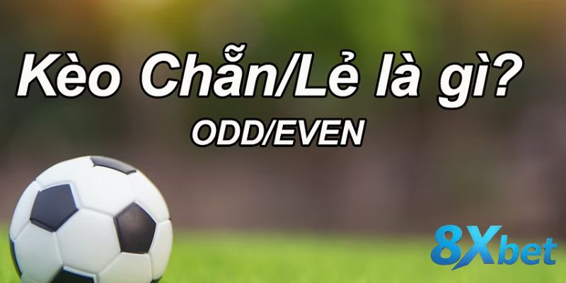 Dự đoán số quả phạt góc theo chẵn lẻ